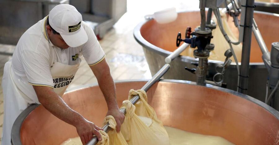 Parma: Parmigiano Reggiano Farm Tour & Tasting with Transfer - Consorzio testing: the strict checks behind “protected” quality
