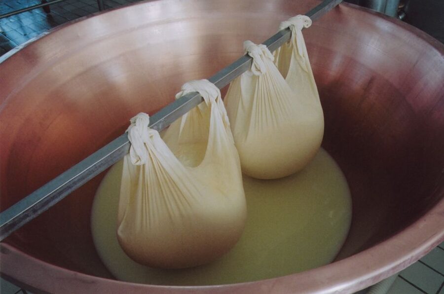 Parma: Traditional Cheese Factory Visit with Tasting - Stagionatura, Consorzio hammer tests, and the fire-brand ritual