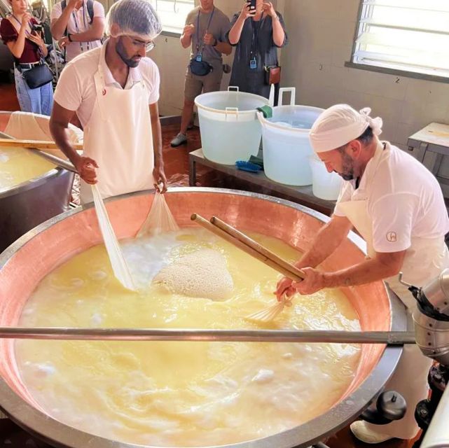 Parma: Traditional Cheese Factory Visit with Tasting - Who should book this Parmigiano Reggiano factory visit