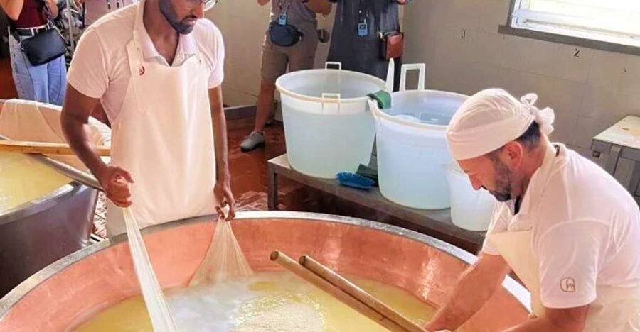 Parma: Traditional Cheese Factory Visit with Tasting - Watching curds form: the tour’s most visual part
