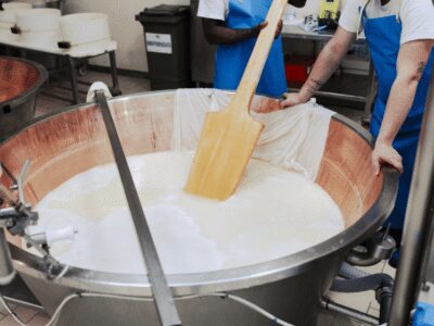 Parmesan Cheese Factory Tour & Tasting near Parma - Walking through Parmigiano craft at Azienda Agricola Bertinelli