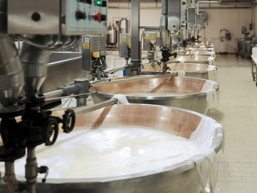 Parmesan Cheese Factory Tour & Tasting near Parma - What sustainable farming and animal welfare look like in real life