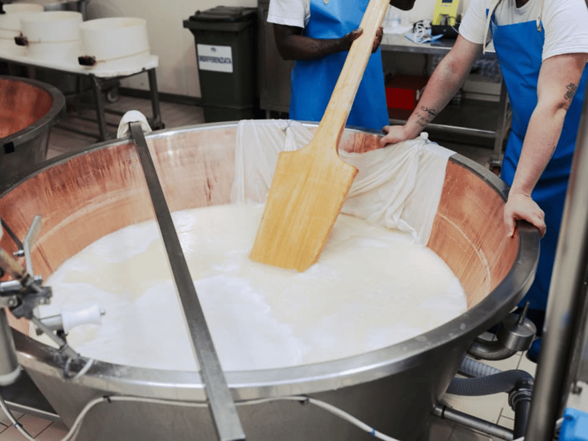 Parmesan Cheese Factory Tour & Tasting near Parma - Walking through Parmigiano craft at Azienda Agricola Bertinelli