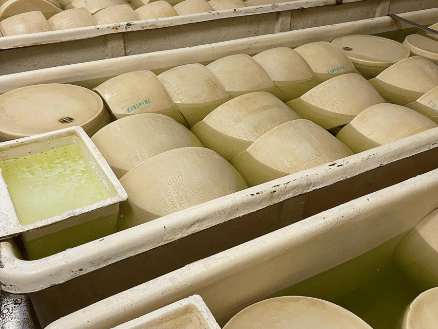 Parmesan Cheese Tour & Tasting in Modena - Tips to Get More Out of the Tasting