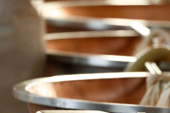 Parmigiano Cheese Factory Visit and Tasting - Parmigiano Reggiano made near Parma: what you’re really doing