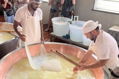 Parmigiano Cheese Factory Visit and Tasting - Inside the dairy: the cow-to-cheese process you can actually picture