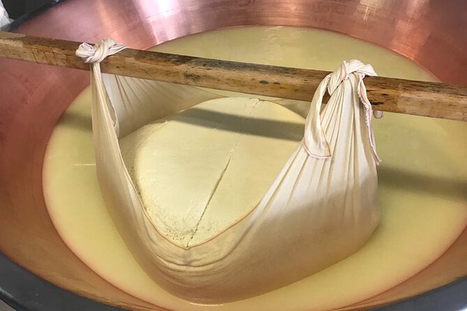 Parmigiano Cheese Factory Visit and Tasting - Price and value: what $84.02 gets you in the Parma area