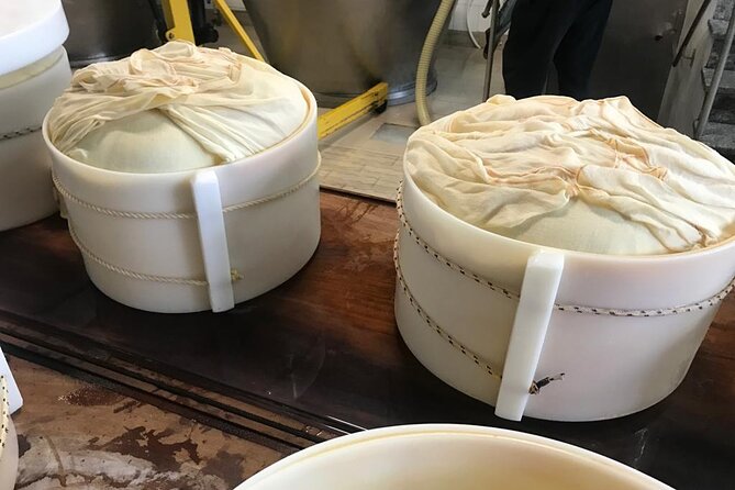 Parmigiano Cheese Factory Visit and Tasting - The small-group vibe: why comfort and pace matter