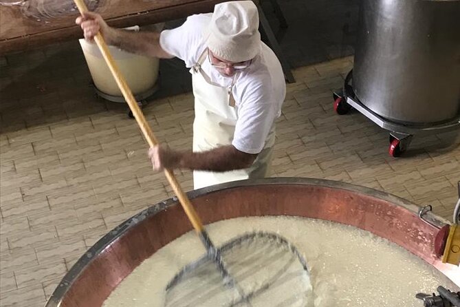 Parmigiano Cheese, Parma Ham and Balsamic - Stop 1 in Parma: Parmigiano Reggiano from milk to aging wheels