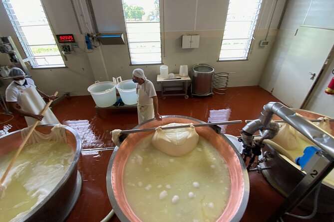 Parmigiano-Reggiano Cheese Factory Small group Tour From Parma - Small group size: what up to 8 people changes