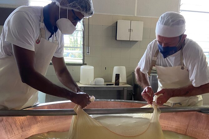 Parmigiano-Reggiano Cheese Factory Small group Tour From Parma - Price value: does $84.11 make sense for what you get?