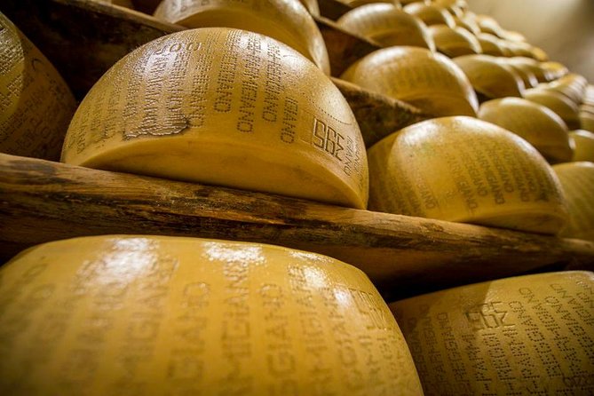 Parmigiano Reggiano Cheese Factory Tour & Tasting Experience - The working farm and factory walk-through that turns smell into clues