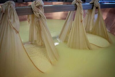 Parmigiano Reggiano Cheese Factory Tour & Tasting Experience - Breakfast first: the 8:00 start and your Reggiana starter kit