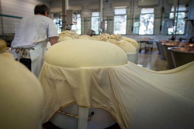 Parmigiano Reggiano Cheese Factory Tour & Tasting Experience - Tastings that actually teach: 12, 24, 30 months plus balsamic by the clock