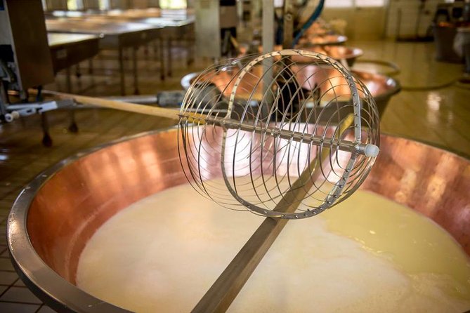 Parmigiano Reggiano Cheese Factory Tour & Tasting Experience - What you eat and why it fits the cheese story