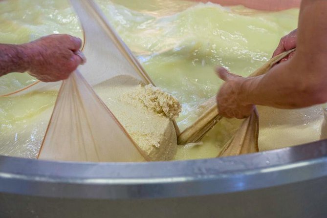 Parmigiano Reggiano Cheese Factory Tour & Tasting Experience - Should you book this Parmigiano tour or skip it?