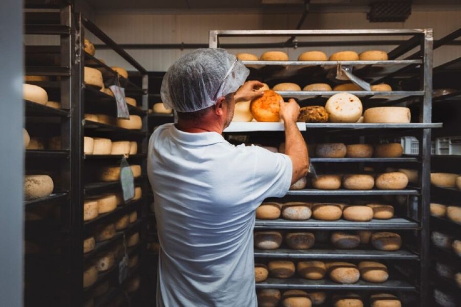 Pienza: Dairy Farm Tour with Pecorino Cheese Tasting - A Pecorino Lesson in the Val d’Orcia Hills Near Pienza