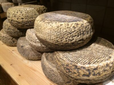 Pienza: Dairy Farm Tour with Pecorino Cheese Tasting - From Sheep Grazing to Cheesemaking: What Happens on the Farm
