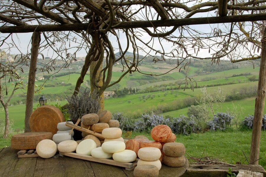 Pienza: Dairy Farm Tour with Pecorino Cheese Tasting - Getting There: The One Thing You Must Plan Yourself