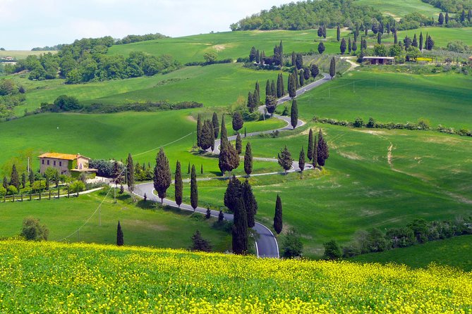 Pienza, Montalcino, Brunello Wine and Pecorino Cheese PRIVATE TOUR from FLORENCE - Stop 1: Azienda Agricola Capanna di Cencioni tasting with a family vibe