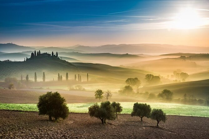 Pienza, Val d'Orcia, Montalcino wine and Pecorino cheese PRIVATE TOUR from SIENA - Key highlights to know before you go