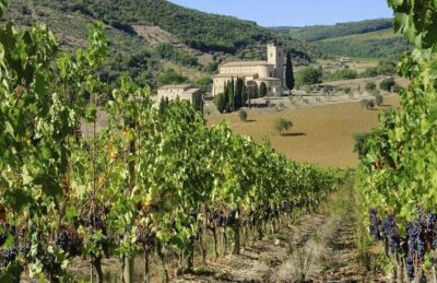 Pienza, Val d'Orcia, Montalcino wine and Pecorino cheese PRIVATE TOUR from SIENA - Stop 1: Azienda Agricola Capanna di Cencioni wine tasting that’s more than a quick sip