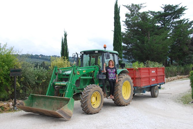 Pienza, Val d'Orcia, Montalcino wine and Pecorino cheese PRIVATE TOUR from SIENA - Price and value check: what $527.24 per person gets you (and why it can be fair)