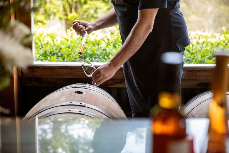 Pokolbin: Cheese and Barrel Wine Tasting at Audrey Wilkinson - Price and value: what $56 gets you (and why it can be worth it)