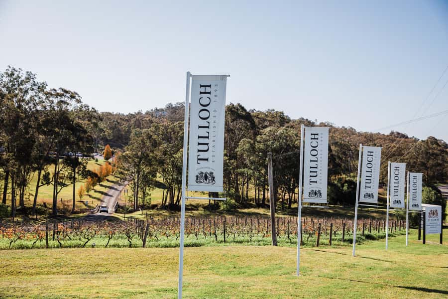 Pokolbin: Tulloch Hunter Heroes Wine Tasting & Cheese Board - Family-friendly add-ons for kids and teens