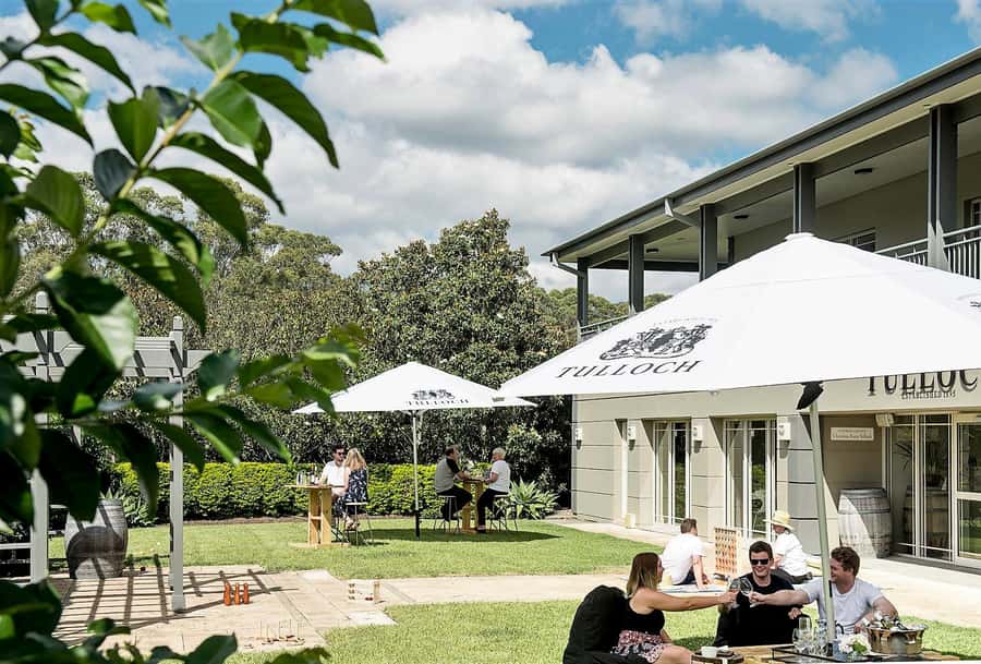 Pokolbin: Tulloch Hunter Heroes Wine Tasting & Cheese Board - What the 1-hour pacing feels like at the table