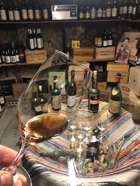 Porto: Cheese and Port Wine Tasting in a Unique Place - The Tasting Flight: 4 Portuguese Cheeses You’ll Remember