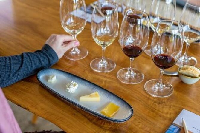 Private Classical Wine and Cheese Pairing Experience - A licensed guide, plus real conversation time