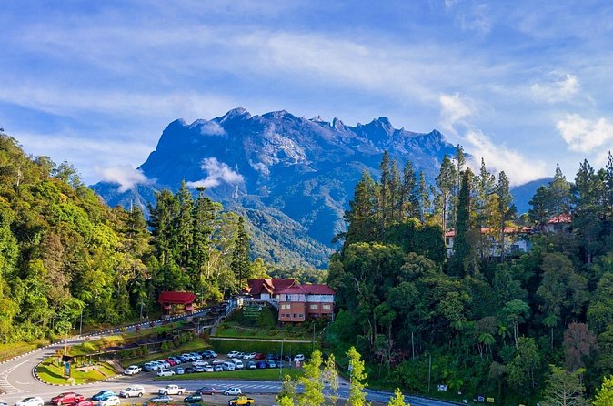 Private Desa Dairy Farm, Kinabalu National Park, Hot Spring & Canopy Walk Tour - Stop 2: Bombon Kg. Marakau fish spa and feeding time