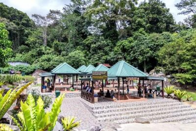 Private Desa Dairy Farm, Kinabalu National Park, Hot Spring & Canopy Walk Tour - Getting going at 7:30am: transport, tickets, and pacing
