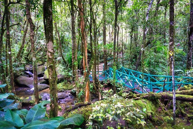 Private Desa Dairy Farm, Kinabalu National Park, Hot Spring & Canopy Walk Tour - Kinabalu Park headquarters: where registration culture meets trail time