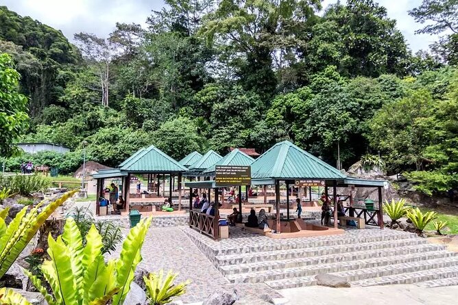 Private Desa Dairy Farm, Kinabalu National Park, Hot Spring & Canopy Walk Tour - Getting going at 7:30am: transport, tickets, and pacing