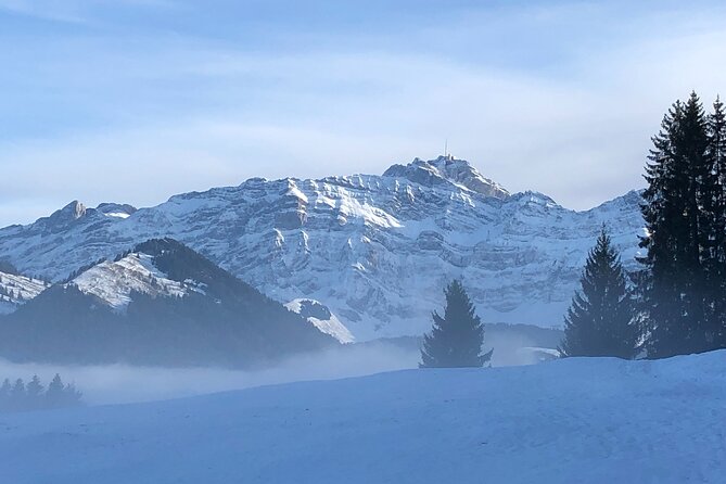 Private Guided Swiss Alps Day Trip from Zurich with Hotel Pick-Up - Appenzell village walk: painted facades, traditions, and browsing time