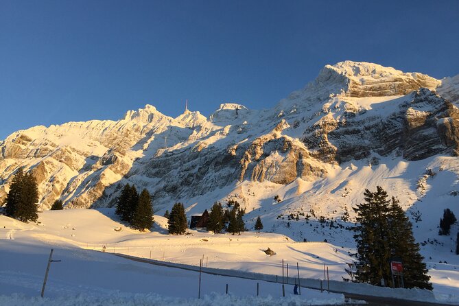 Private Guided Swiss Alps Day Trip from Zurich with Hotel Pick-Up - Schwägalppass at 1,278 m: a short walk before the big cable car moment