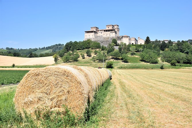 Private Half Day Parma Food Tour: Parmesan Cheese, Parma Ham, Lunch - Parmigiano-Reggiano factory visit: see milk become years of flavor