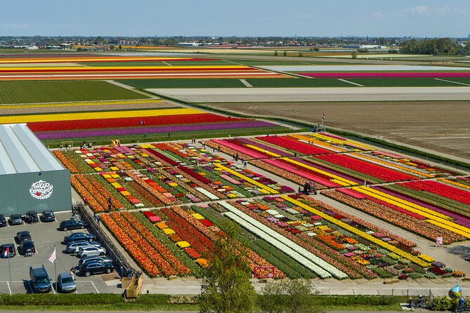 Private Keukenhof, Gardens, Windmills, cheese tour from Amsterdam - Jacobs Hoeve Cheese Farm by Henri Willig: tasting that feels like a real stop, not a pit stop