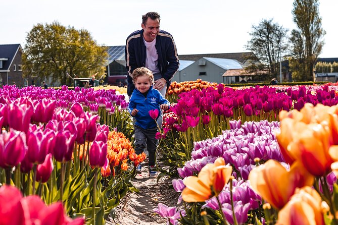 Private Keukenhof, Gardens, Windmills, cheese tour from Amsterdam - Price and value: what your $499.43 is paying for