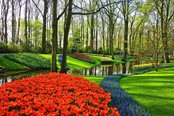Private Keukenhof, Gardens, Windmills, cheese tour from Amsterdam - Tulip Experience Amsterdam: learning + color in about an hour