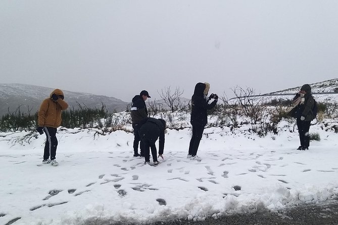 Private Serra da Estrela Gastronomy & Snow Tour from Porto - Morning pickup and your private van ride out of Porto
