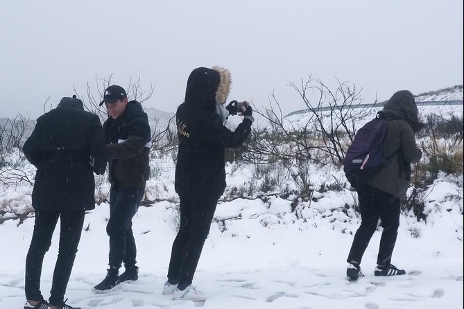 Private Serra da Estrela Gastronomy & Snow Tour from Porto - Sabugueiro at 1,200 m: highest village life and Serra cheese shopping
