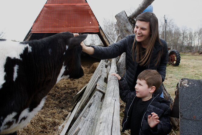 Private Tour at Historic Alaska Dairy Farm - Key Highlights You’ll Actually Notice