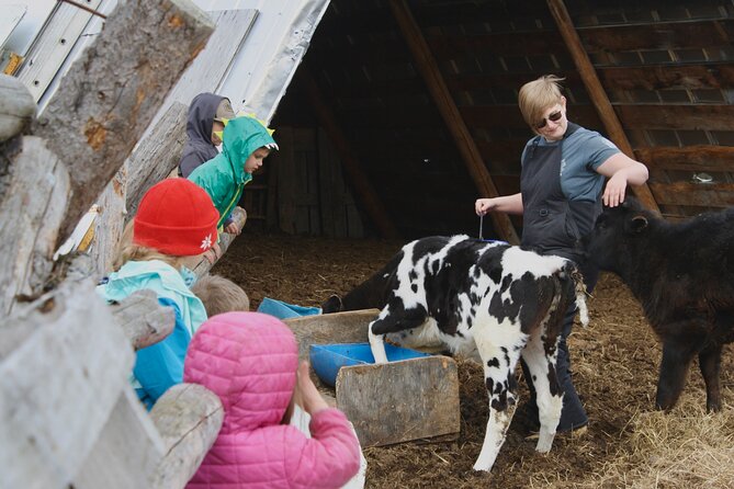 Private Tour at Historic Alaska Dairy Farm - Sun Fire Ridge Private Dairy Tour: A Simple $15 Plan With Real Animal Time