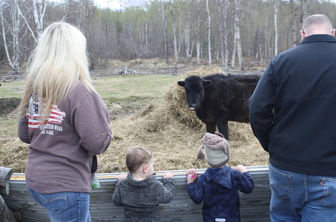 Private Tour at Historic Alaska Dairy Farm - Animal Encounters Beyond the Barn Door: Cows, Icelandic Sheep, and Rabbits