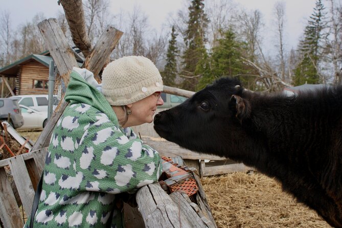 Private Tour at Historic Alaska Dairy Farm - What You Can’t Do: Milk Sampling, Snacks, and Other Real Rules