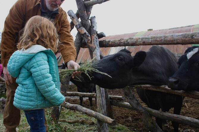 Private Tour at Historic Alaska Dairy Farm - The Main Event: Sun Fire Ridge Milking Demo and Calf Bottle Feeding (Morning Tours)