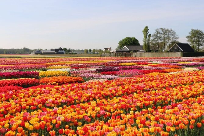 Private Tour to Tulips, Keukenhof, Windmills & Cheese Farm - Keukenhof in real time: what you do with your 2 hours